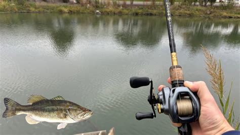 Fishing At Tiny Industrial Ponds For Big Bass Bass Manager The