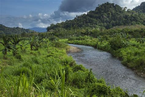 Taman Nasional Meru Betiri