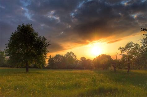 Fotos gratis paisaje árbol naturaleza horizonte nube amanecer