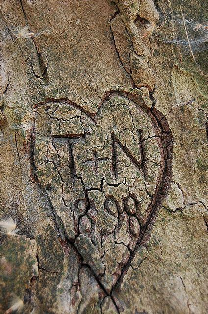 Heart Carved Into Tree Carved Heart Cool Photos Country Wedding