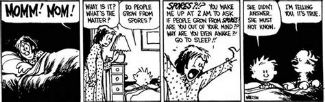 Chronicles Of Calvin N Hobbes Calvins Mom Special