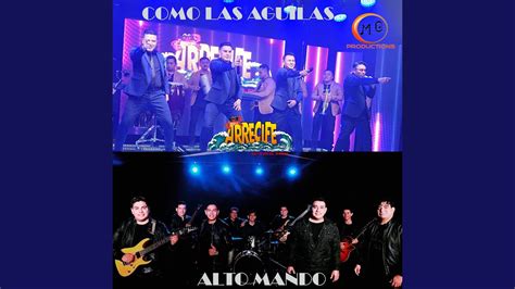 Total 71+ imagen como las aguilas guitarra - Abzlocal.mx