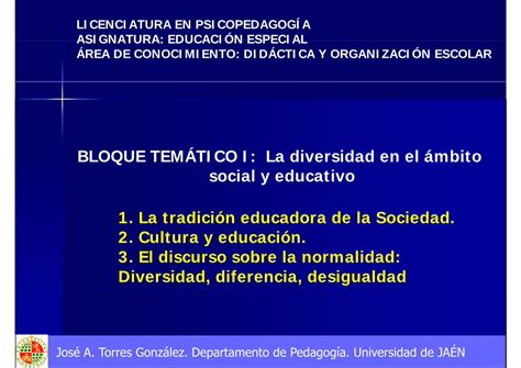 PDF BLOQUE TEMÁTICO I La diversidad en el ámbito social y jtorres