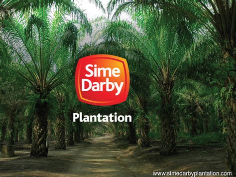 Sime Darby Plantation banks on downstream business for growth | Sime ...