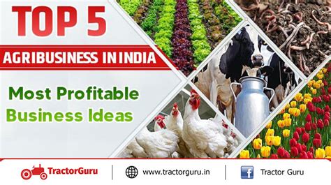 Top 5 Agribusiness In India Most Profitable Business Ideas