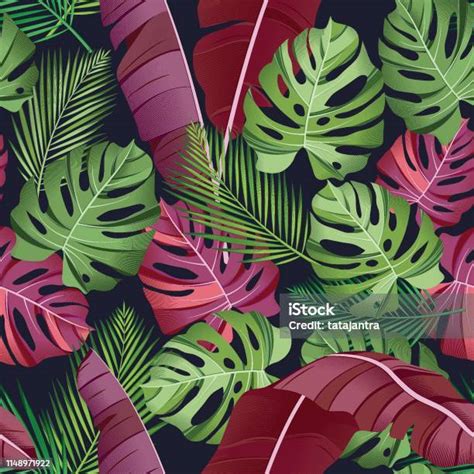 Seamless Pattern With Tropical Leaves Palms Monstera Banana Leaves