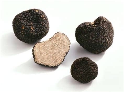 Trufa Negra De Verano Tuber Aestivium Comprar Trufa