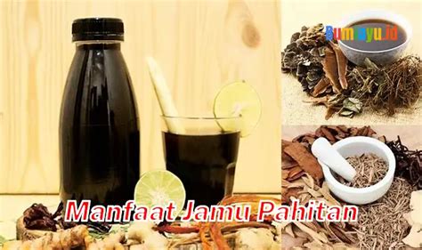 Temukan Khasiat Jamu Pahitan Yang Jarang Diketahui