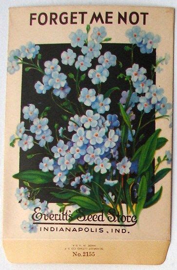 Forget Me Not Seed Packetforgetmenotseedpacket Flower Seeds Packets