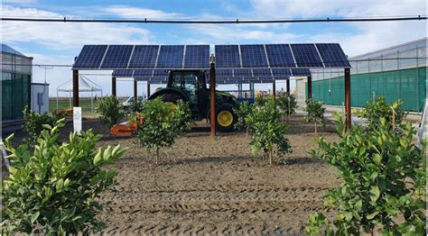 Adapting Agrivoltaics To Different Climates Crops Pv Magazine