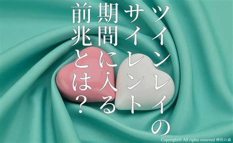 ツインレイのサイレント期間とは？始まりと終わりのサインを徹底紹介！ 神社の森