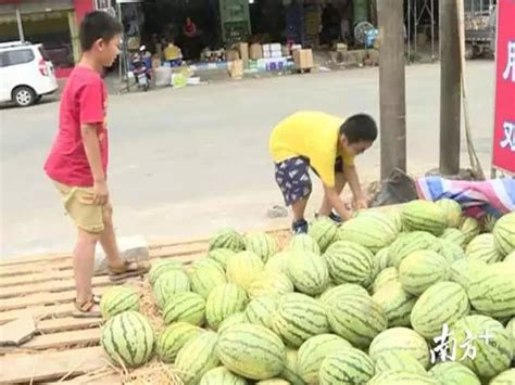 讲道理不如去卖瓜！这名家长买万斤西瓜让孩子去摆摊 世相 新湖南