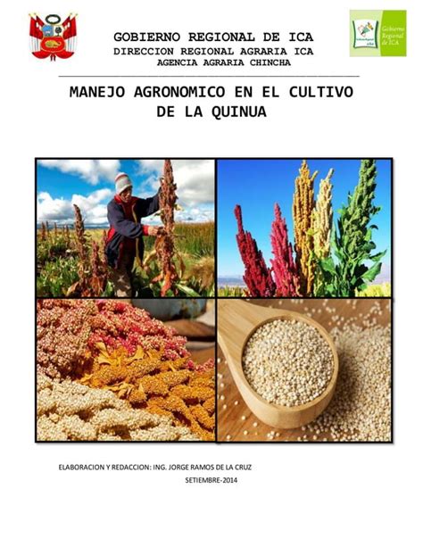 Boletin Tecnico Del Cultivo De La Quinua Pdf