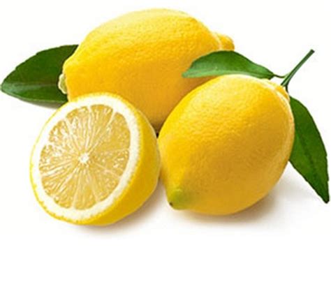 Tanaman Jeruk Lemon Impor - BibitBunga.com