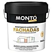 Montó Bricolovers Pintura para fachadas Blanco 12 l Mate BAUHAUS