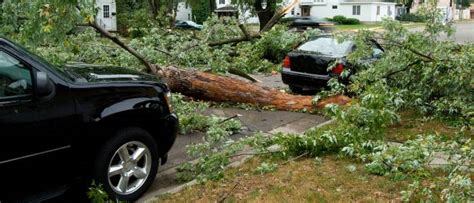 How to protect your business property and vehicles from wind damage