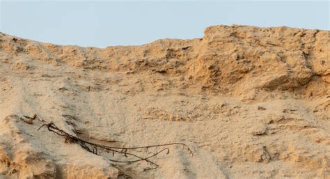 "Construction Sand" Images – Browse 145 Stock Photos, Vectors, and ... 