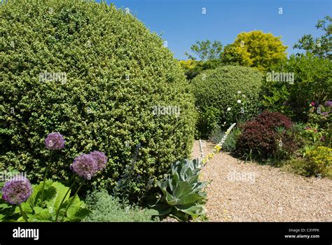 Gravel garden path hi-res stock photography and images - Alamy