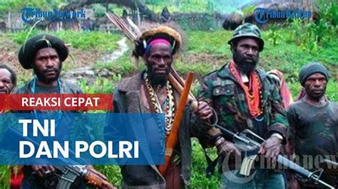 NEWS VIDEO Perintah Pentolan KKB Papua Tembak Pesawat Militer Sipil