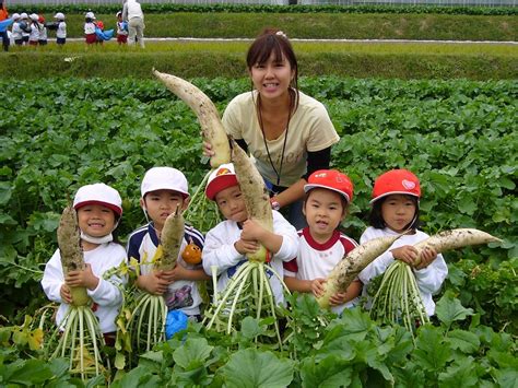 先生の募集について 京都 学校法人 嵐山学園 さくら幼稚園 健康で明るく、元気な子になあれ