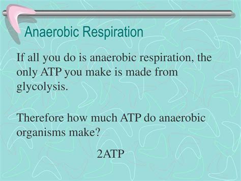 Ppt 6 2 Anaerobic Respiration Powerpoint Presentation Free Download Id 4774828