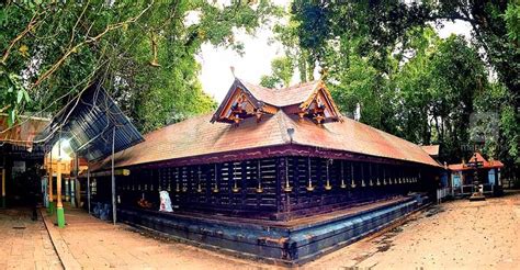 Navrang India: Oldest snake temple — Mannarasala temple, Kerala | by ...