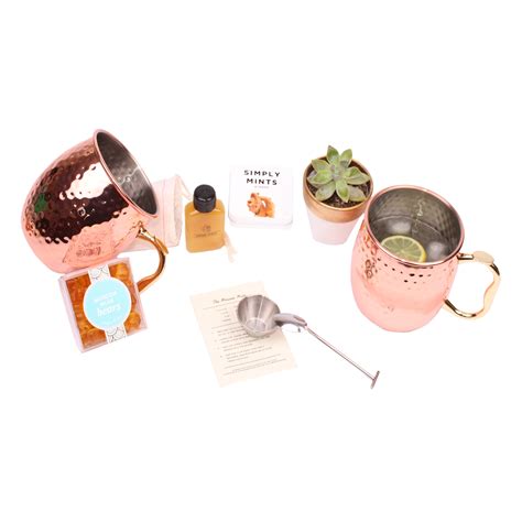 Moscow Mule Cocktail Kit Set | Gifted in Bliss