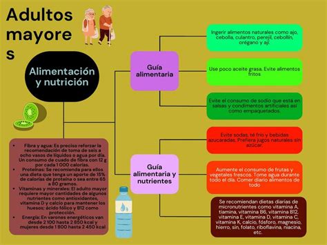 Arriba Imagen Mapa Mental Sobre La Nutrici N Abzlocal Mx