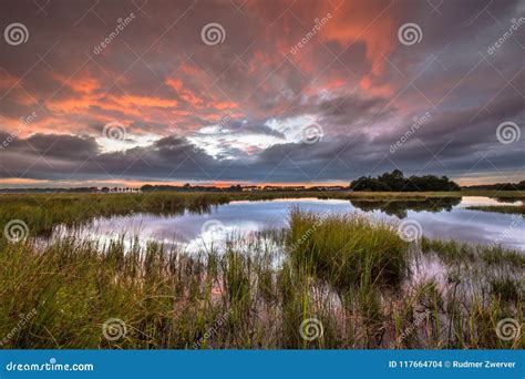 Dramatic Sunset Over Marshland in Natural Landscape Stock Photo - Image ...