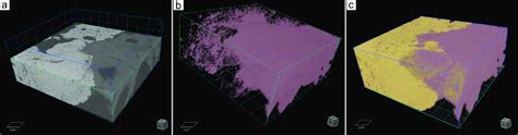 Fib Sem Nanotomography Reconstruction From P B D Reconstruction Of