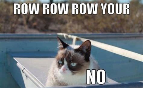 10 of the Funniest Grumpy Cat Memes