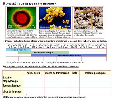 Svt 3eme L Homme Face Aux Micro Organismes Controle