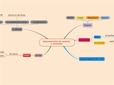 Reproducción de plantas y animales Mind Map