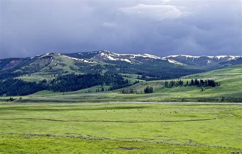 Wallpaper Greens Field Forest The Sky Grass Clouds Snow