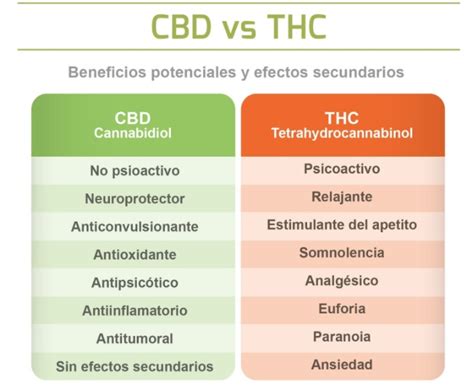 El CBD Tiene Efectos Secundarios Averigualo