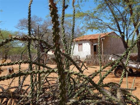 Sitio Passagem das Pedras onde nasceu Lampião Lampião Cangaço O