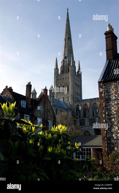 Norwich Cathedral, Norfolk, England Stock Photo - Alamy