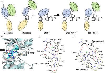 Frontiers Structure And Characterization Of A Covalent Inhibitor Of