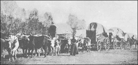 Wagon Train