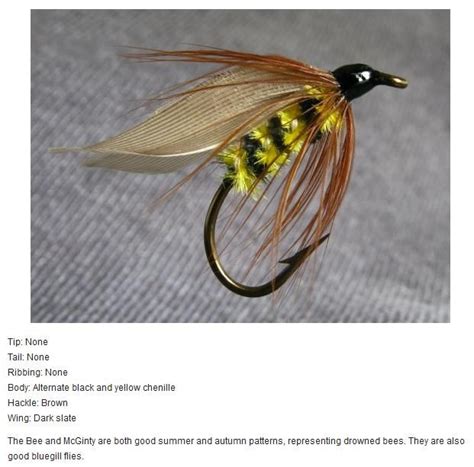 Bee Fly Fishing Nymphs Fly Fishing Lures Fishing Hole Gone Fishing