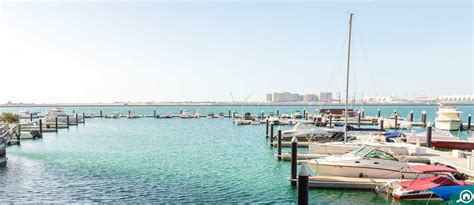 Dalma Island Abu Dhabi Area Guide Bayut