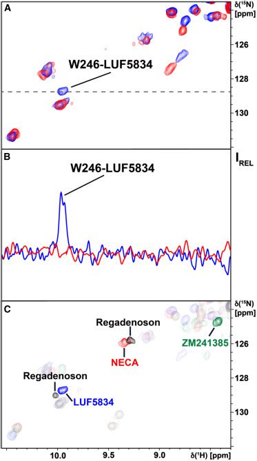 A A Adenosine Receptor Partial Agonism Related To Structural