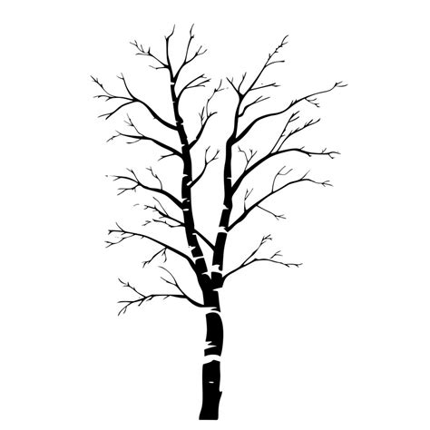 Bare Birch Tree Svg For Cricut Silhouette Laser Machines