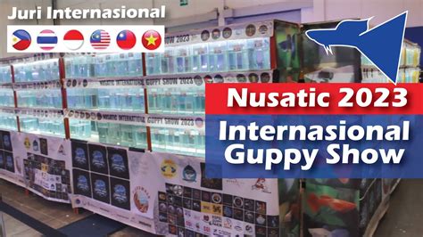 Nusatic 2023 Internasional Guppy Show YouTube