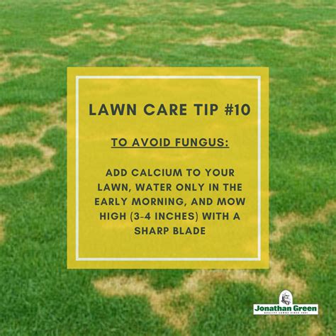 Lawn Fungus Control Jonathan Green Lawn Grass Types Lawn Care Tips