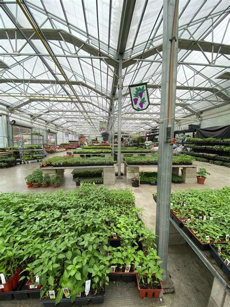 Plant Yourself Local Nurseries Offer Tips For Making Your Vegetable