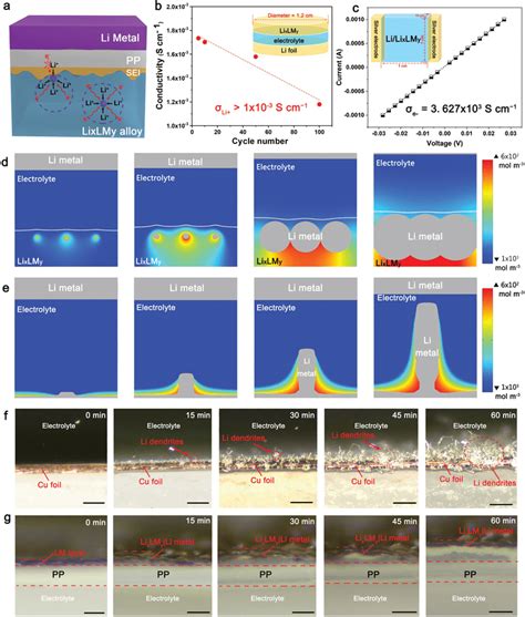 Study Of Dendrite‐free Characteristic Of Lilixlmy A Schematic