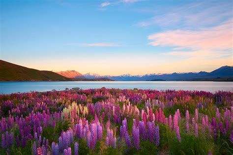 New Zealand Vacation Packages with Airfare | Liberty Travel