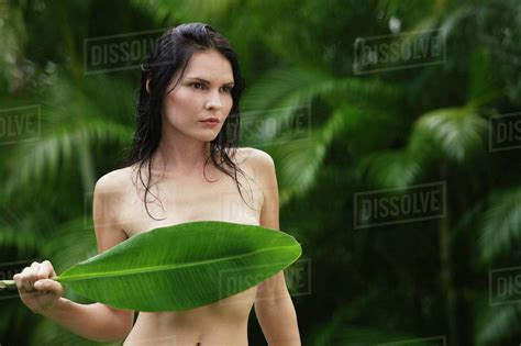Naked Woman Holding Tropical Leaf Over Breasts Stock Photo Dissolve
