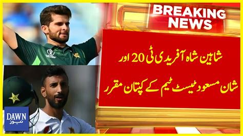 Shaheen Shah Afridi Appointed Captain Of T20 And Shan Masood Test Team